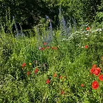 Moeller 4 Personen Edersee Holiday home *